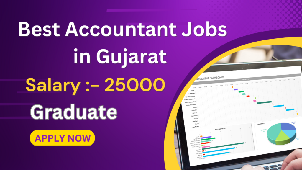 Best Accountant Jobs in Gujarat