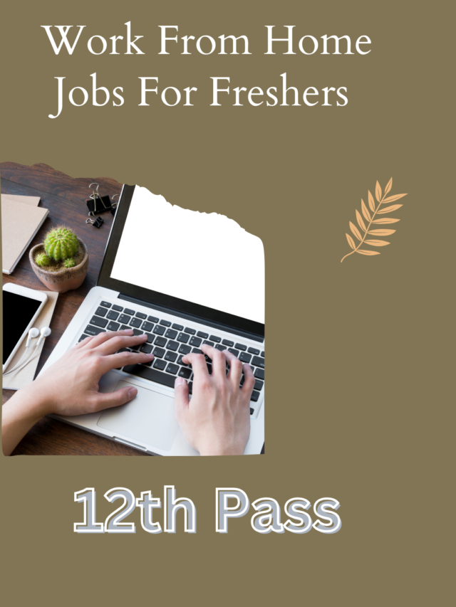 Work From Home Jobs For Freshers